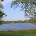 Auensee