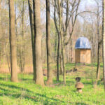 Schlosspark Lützschena