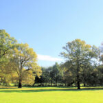 Volkspark Kleinzschocher