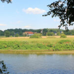 Die Mulde bei Höfgen