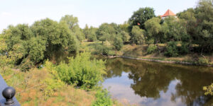 Die Mulde bei Bad Düben
